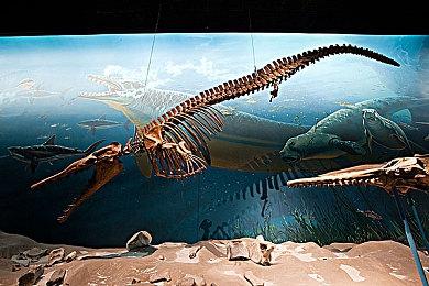 《时间旅者：重生曙光》正式发售！